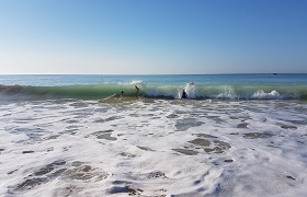 Locations vacances - île de ré